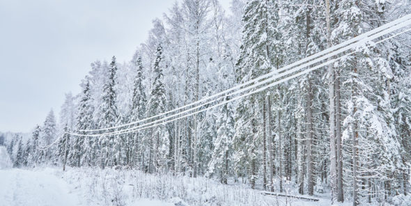 Snø på strømledninger